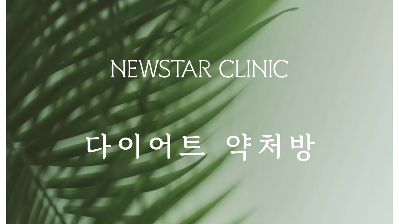 다이어트 약처방